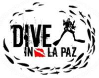 DIVE IN LA PAZ