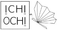 ICHI OCHI