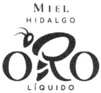 MIEL HIDALGO ORO LÍQUIDO