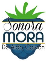 SONORA MORA DE ALDO GALVAN