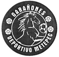 DEPORTIVO METEPEC