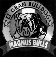 MAGNUS BULLS