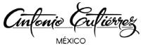 ANTONIO GUTIERREZ