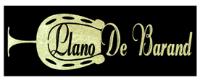 LLANO DE BARAND