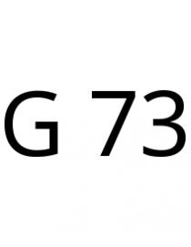 G 73