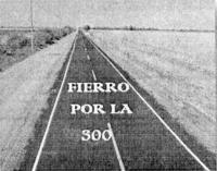 FIERRO POR LA 300
