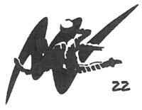 MN 22