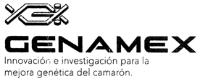 GENAMEX INNOVACION E INVESTIGACION PARA LA MEJORA GENETICA DEL CAMARON