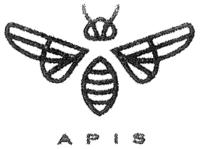 APIS