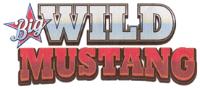 BIG WILD MUSTANG