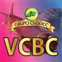 GRUPO CNDOCC VCBC