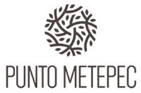 PUNTO METEPEC