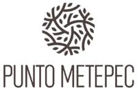 PUNTO METEPEC