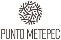 PUNTO METEPEC