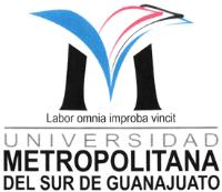 UNIVERSIDAD METROPOLITANA DEL SUR DE GUANAJUATO