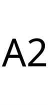 A2