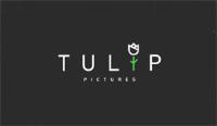 TULIP PICTURES