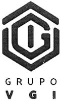 GRUPO VGI