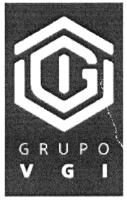 GRUPO VGI