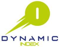 DYNAMIC INDEX