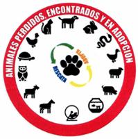 ANIMALES PERDIDOS; ENCONTRADOS Y EN ADOPCIÓN