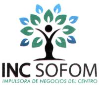 IMPULSORA DE NEGOCIOS DEL CENTRO INC SOFOM