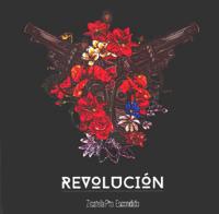 REVOLUCION ZICATELA PTO ESCONDIDO