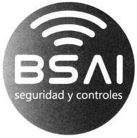BSAI SEGURIDAD Y CONTROLES