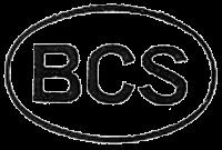 BCS