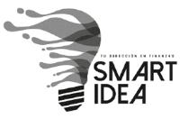 TU DIRECCION EN FINANZAS SMART IDEA