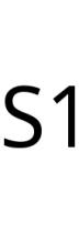S1