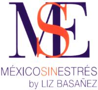 MSE MÉXICO SIN ESTRÉS BY LIZ BASAÑEZ