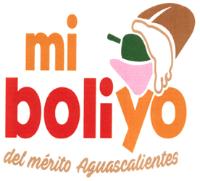 MI BOLIYO DEL MÉRITO AGUASCALIENTES