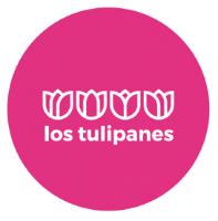 LOS TULIPANES