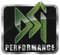 DSI PERFORMANCE