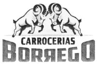 CARROCERIAS BORREGO