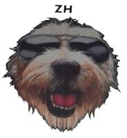 ZH