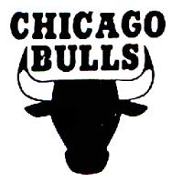 CHICAGO BULLS