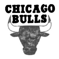 CHICAGO BULLS