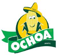 PABLO OCHOA BRISEÑO