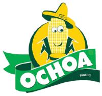 PABLO OCHOA BRISEÑO