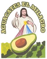 AGUACATES EL MILAGRO