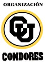 ORGANIZACIÓN CÓNDORES