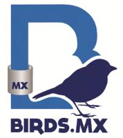 BIRDS;MX