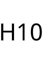 H10