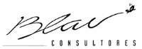 BLAU CONSULTORES