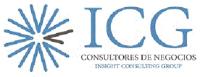 ICG CONSULTORES DE NEGOCIOS