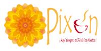 PIXÁN; ¡AQUÍ SIEMPRE; ES DIA DE LOS MUERTOS!