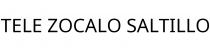 TELE ZOCALO SALTILLO
