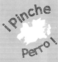PINCHE PERRO